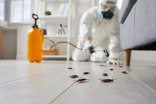 Commercial Kitchen Cockroach Control in Minnehaha